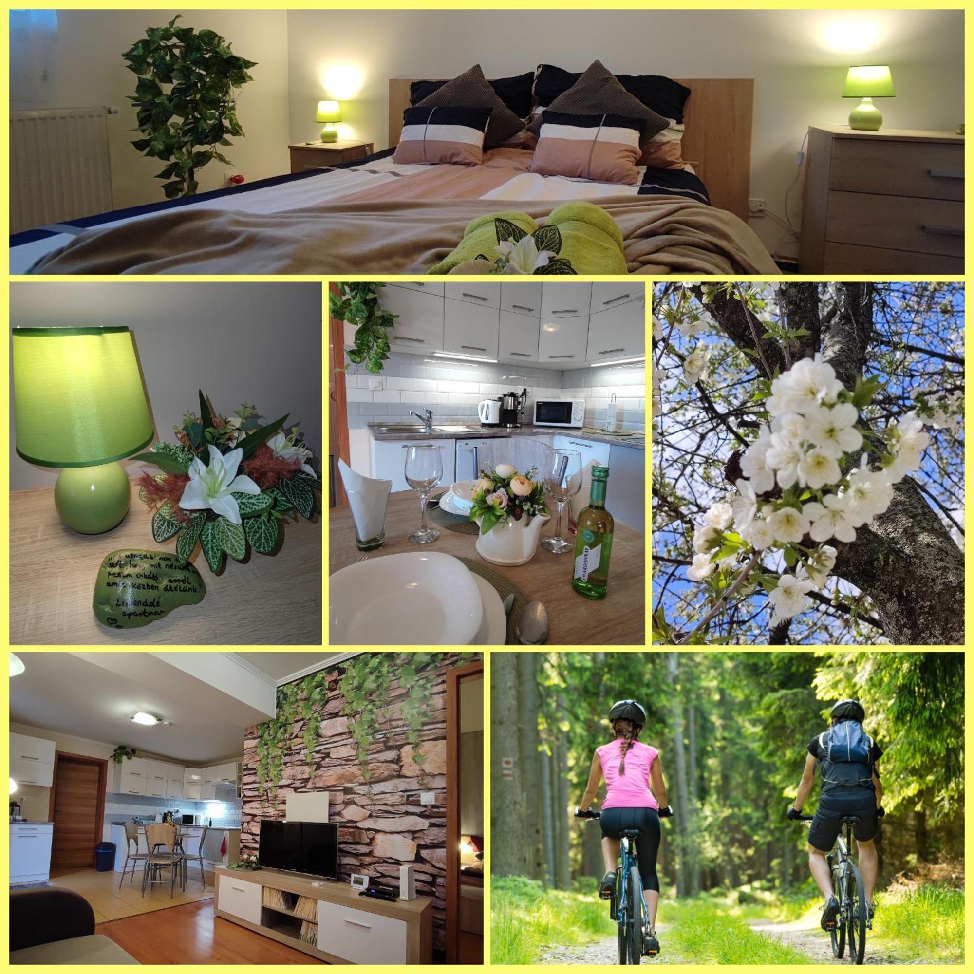 Limonádé Apartman Gárdony Extérieur photo