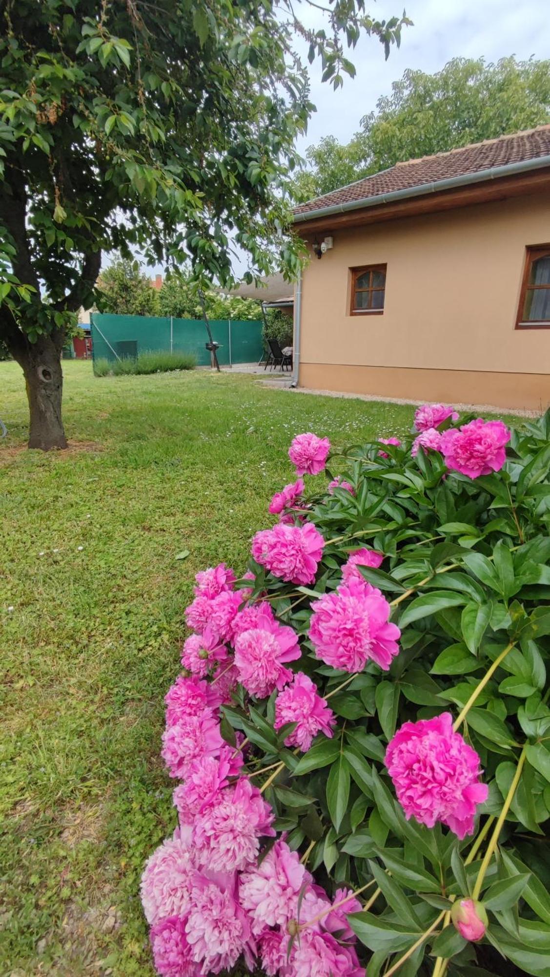 Limonádé Apartman Gárdony Extérieur photo